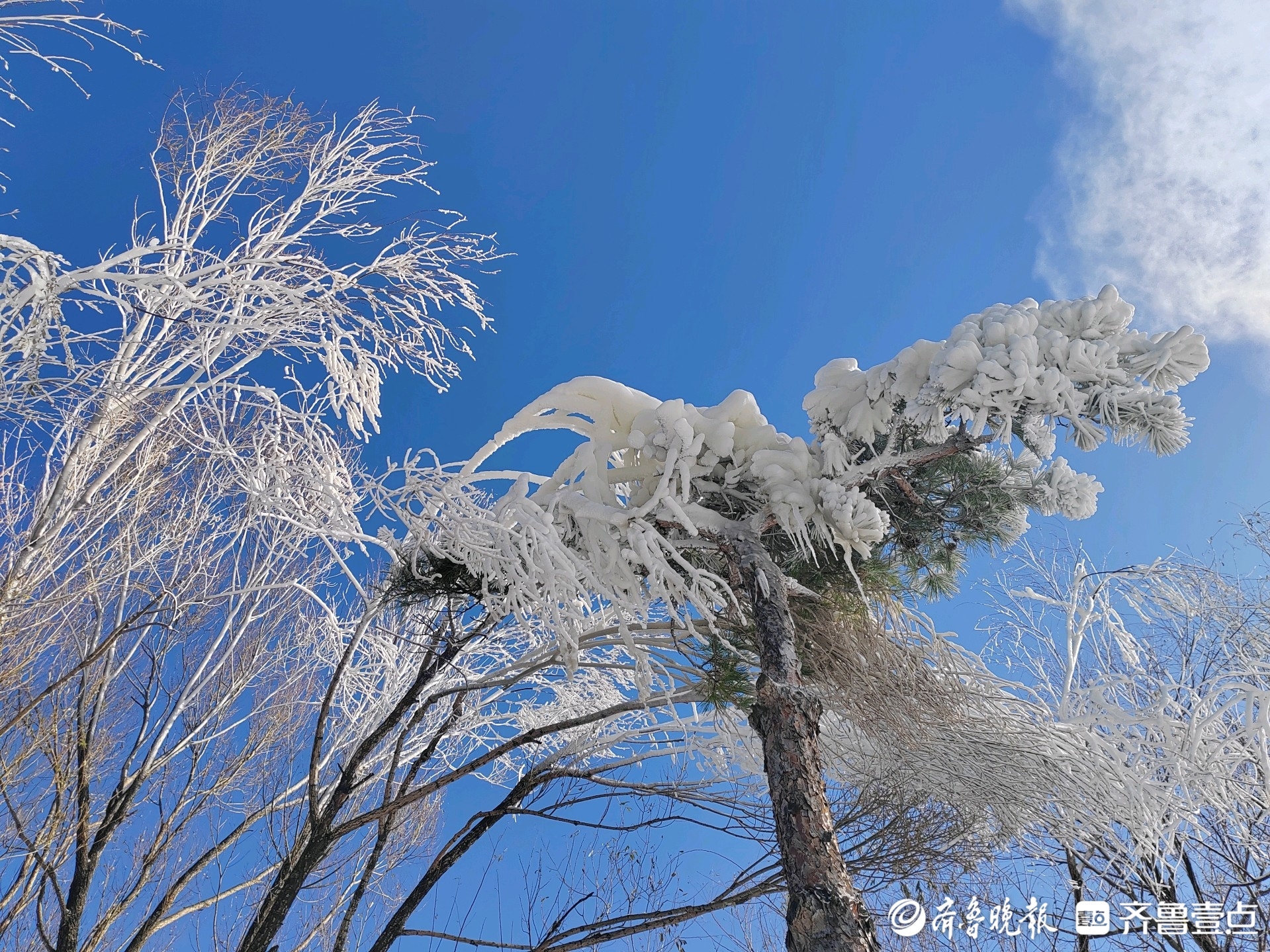 济南跑马岭景区开启造雪模式，式冰冰雪旅游即将开幕